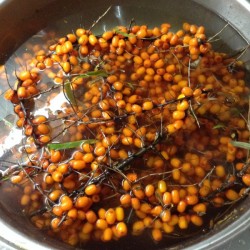 Желейное варенье из облепихи - шаг 2 Желейное варенье из облепихи - шаг 2