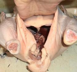 Как снять кожу с курицы для фарширования - шаг 2