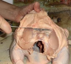 Как снять кожу с курицы для фарширования - шаг 5