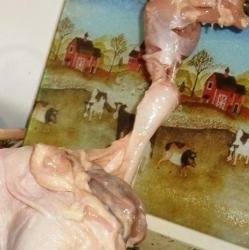 Как снять кожу с курицы для фарширования - шаг 8