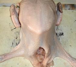 Как снять кожу с курицы для фарширования - шаг 10