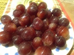 Канапе с виноградом, киви, апельсином и сыром - шаг 1