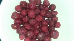 Клубничный компот в банках на зиму - шаг 1