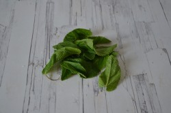 Квас из ревеня с мятой - шаг 4 Квас из ревеня с мятой - шаг 4