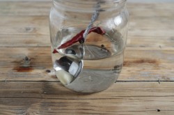 Медовая настойка с перцем - шаг 2 Медовая настойка с перцем - шаг 2