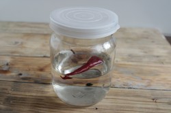 Медовая настойка с перцем - шаг 4 Медовая настойка с перцем - шаг 4