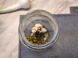 Огурцы с аспирином на зиму в банке - шаг 3 Огурцы с аспирином на зиму в банке - шаг 3