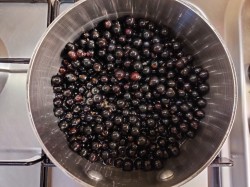 Пастила из черной смородины в домашних условиях - шаг 2 Пастила из черной смородины в домашних условиях - шаг 2