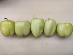 Перец болгарский замороженный на зиму - шаг 1 Перец болгарский замороженный на зиму - шаг 1