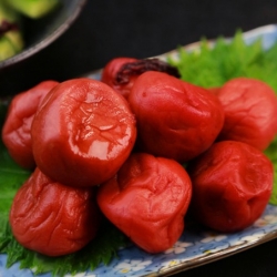 Пряные маринованные сливы на зиму