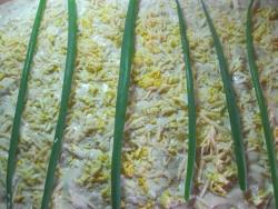 Рулет из лаваша с сыром и зеленым луком - шаг 6