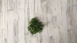 Салат с копченой индейкой и фруктами - шаг 4