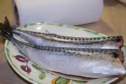 Скумбрия сухого посола в домашних условиях - шаг 3 Скумбрия сухого посола в домашних условиях - шаг 3