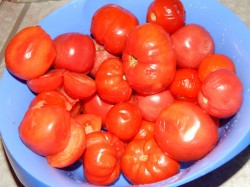 Соус томатный с луком на зиму - шаг 1 Соус томатный с луком на зиму - шаг 1