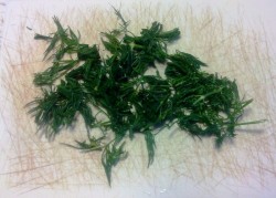 Суп с рисом и морковью из рыбной консервы - шаг 9 Суп с рисом и морковью из рыбной консервы - шаг 9