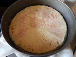 Торт со сгущенкой бисквитный - шаг 11 Торт со сгущенкой бисквитный - шаг 11