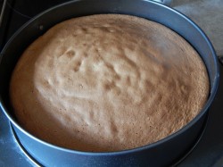 Торт со сгущенкой бисквитный - шаг 8 Торт со сгущенкой бисквитный - шаг 8