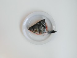 Уха из головы толстолобика - шаг 2