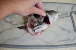 Уха из головы сома - шаг 2 Уха из головы сома - шаг 2