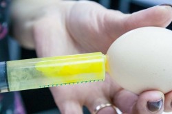 Яйца с сюрпризом на Пасху - шаг 1 Яйца с сюрпризом на Пасху - шаг 1