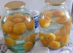 Абрикосовый компот из абрикосов на 3 литровую банку на зиму - шаг 3 Абрикосовый компот из абрикосов на 3 литровую банку на зиму - шаг 3
