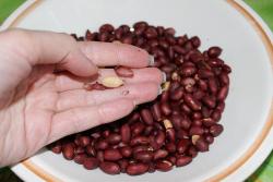 Арахис в сахаре - шаг 3