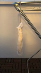 Бастурма из свинины в домашних условиях - шаг 12