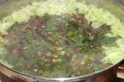 Борщ со свекольной ботвой и чесночными булочками - шаг 12 Борщ со свекольной ботвой и чесночными булочками - шаг 12