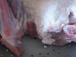 Буглама с соусом ткемали, чесноком и зеленью из баранины - шаг 3