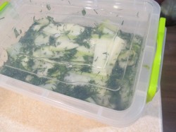 Быстрые малосольные кабачки - шаг 11