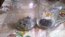 Чай с травами - шаг 2 Чай с травами - шаг 2