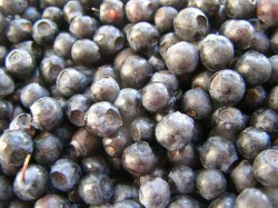 Черника в собственном соку на зиму без сахара - шаг 1