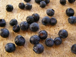 Черника в собственном соку на зиму без сахара - шаг 6