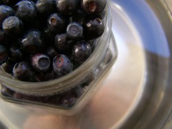 Черника в собственном соку на зиму без сахара - шаг 7