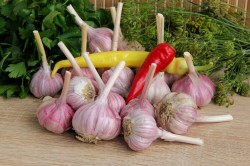 Маринованный чеснок зубчиками на зиму классический - шаг 1 Маринованный чеснок зубчиками на зиму классический - шаг 1