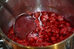 Домашнее мороженое с малиновым соусом - шаг 11