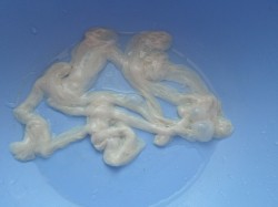 Домашняя колбаса с гречкой - шаг 6