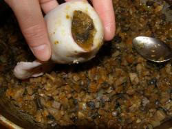 Кальмары фаршированные овощами, сыром и шампиньонами - шаг 9