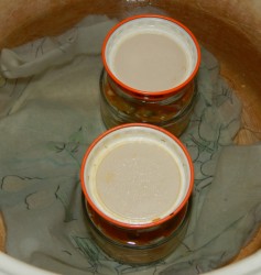 Фасоль в томатном соусе на зиму - шаг 9 Фасоль в томатном соусе на зиму - шаг 9