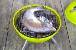 Горбуша горячего копчения в домашних условиях - шаг 11 Горбуша горячего копчения в домашних условиях - шаг 11