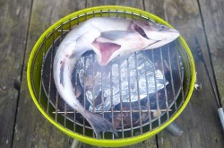 Горбуша горячего копчения в домашних условиях - шаг 9 Горбуша горячего копчения в домашних условиях - шаг 9