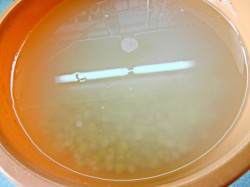 Гороховая каша в мультиварке классическая - шаг 2