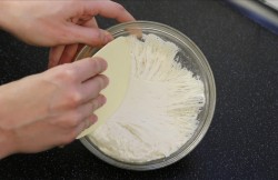 Итальянский кулич с цукатами и миндальной корочкой Панеттоне - шаг 3 Итальянский кулич с цукатами и миндальной корочкой Панеттоне - шаг 3