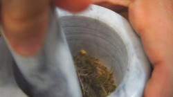 Горбуша фаршированная овощами в духовке - шаг 2 Горбуша фаршированная овощами в духовке - шаг 2