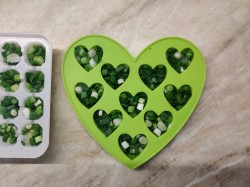 Как можно заморозить зеленый лук - шаг 4 Как можно заморозить зеленый лук - шаг 4