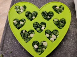 Как можно заморозить зеленый лук - шаг 5 Как можно заморозить зеленый лук - шаг 5