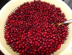 Моченая брусника на зиму - шаг 2 Моченая брусника на зиму - шаг 2