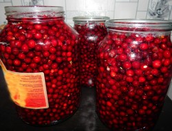 Моченая брусника на зиму - шаг 4 Моченая брусника на зиму - шаг 4