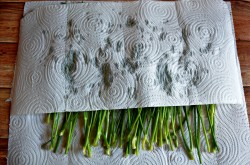 Заморозка укропа на зиму - шаг 3 Заморозка укропа на зиму - шаг 3