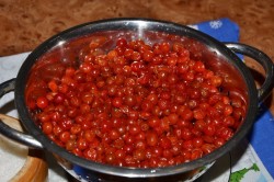 Калина протертая с сахаром на зиму без варки - шаг 2 Калина протертая с сахаром на зиму без варки - шаг 2